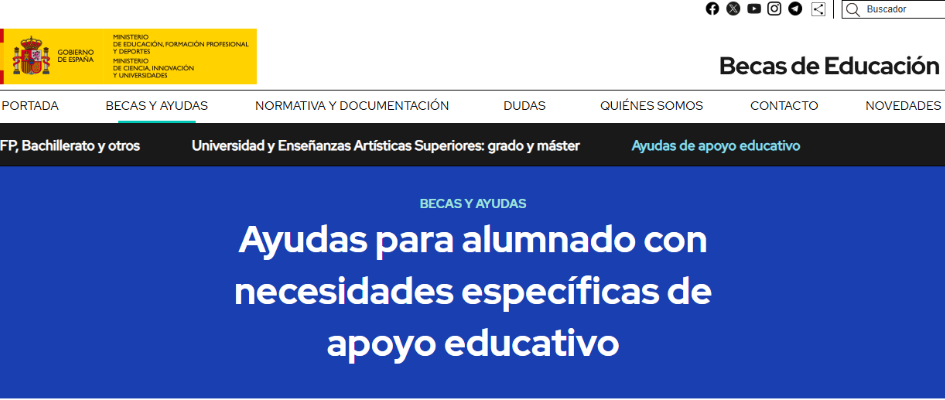 Ayudas necesidades específicas