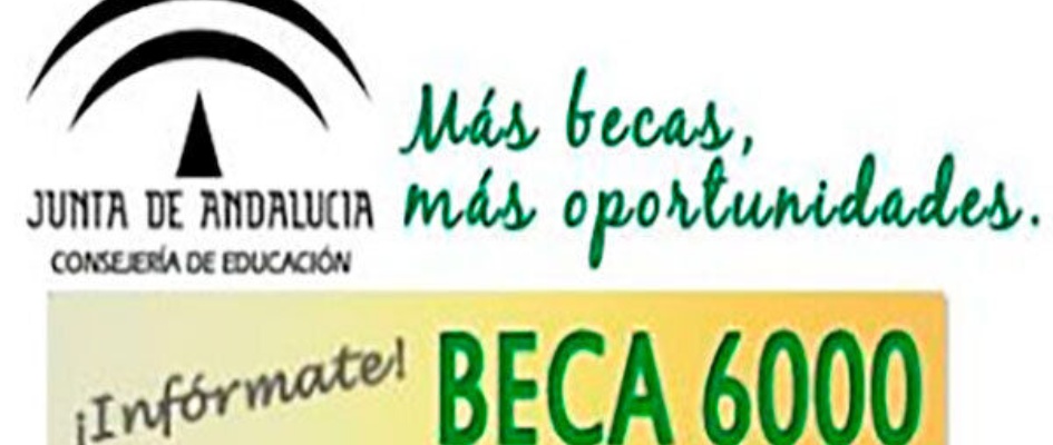 BECA 6000 -2019-2020
