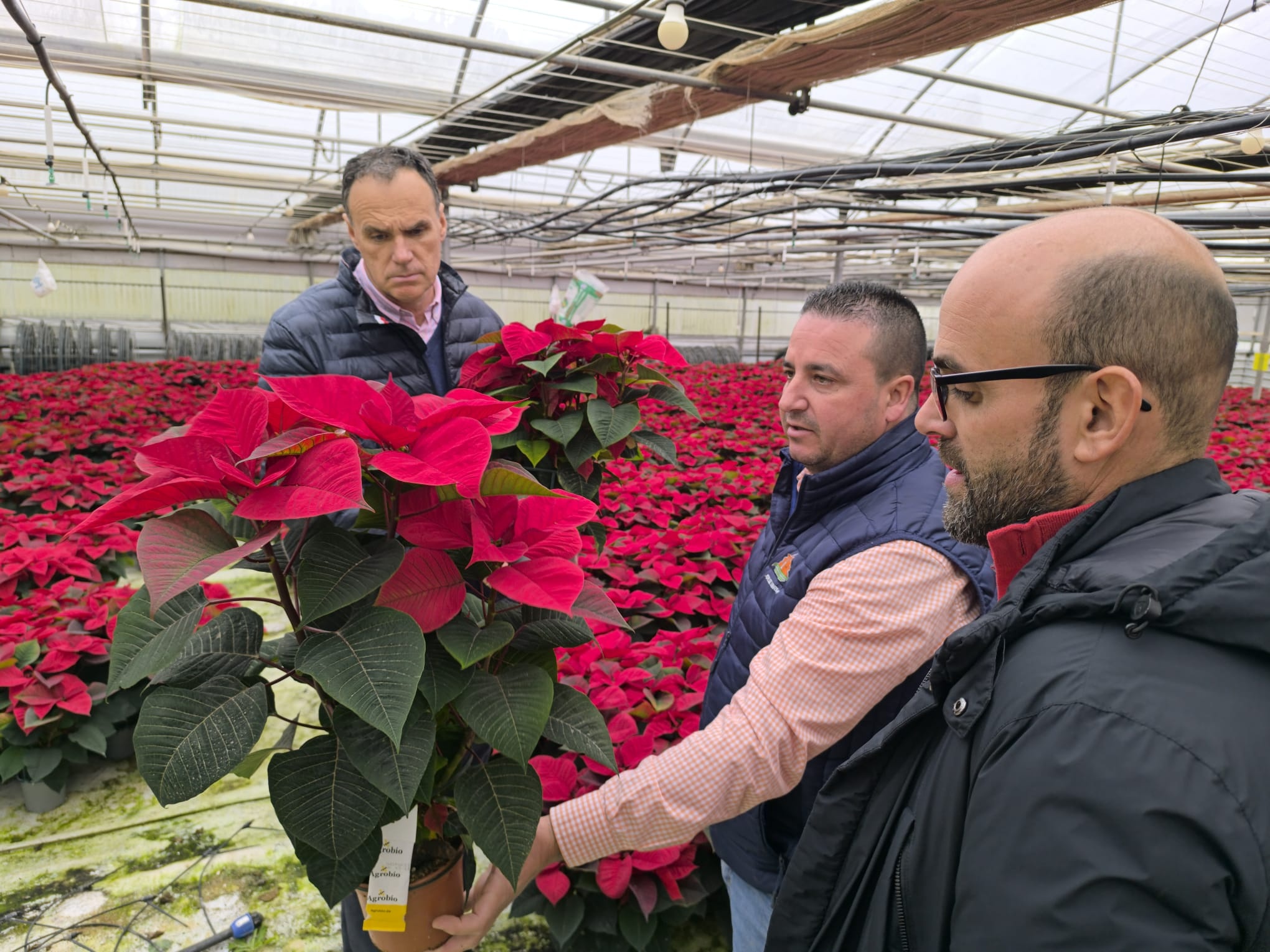 Visita empresa Flores de Lebrija 2025 (1)