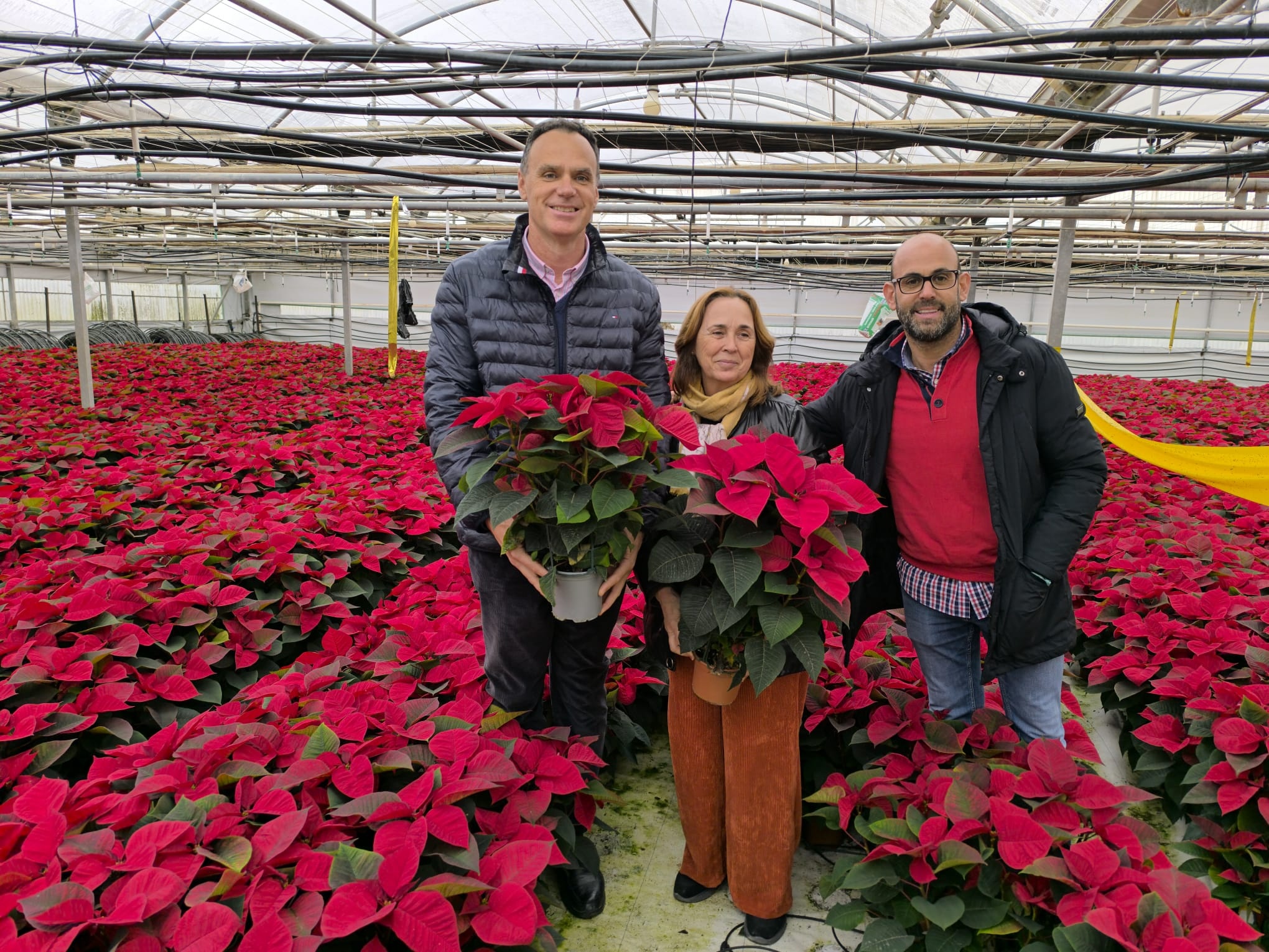 Visita empresa Flores de Lebrija 2025 (3)