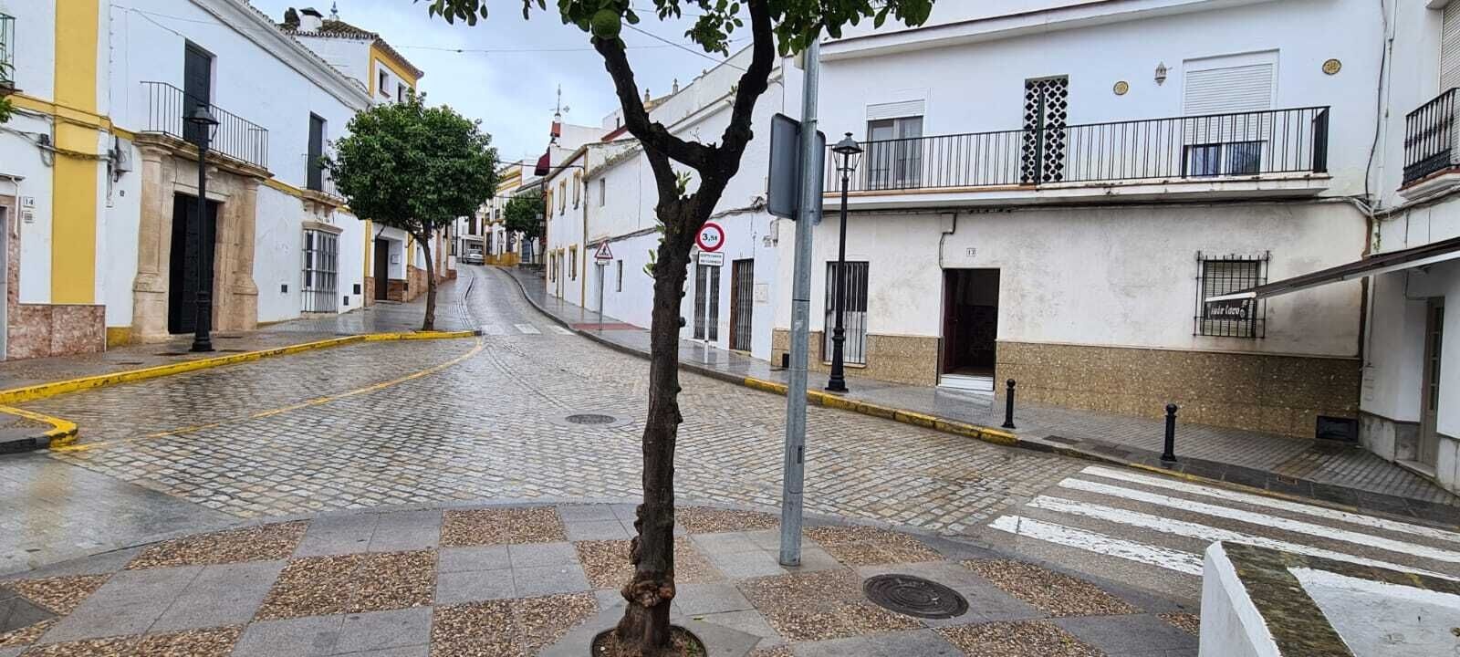 calle José Sánchez de Alva - Lebrija (1)
