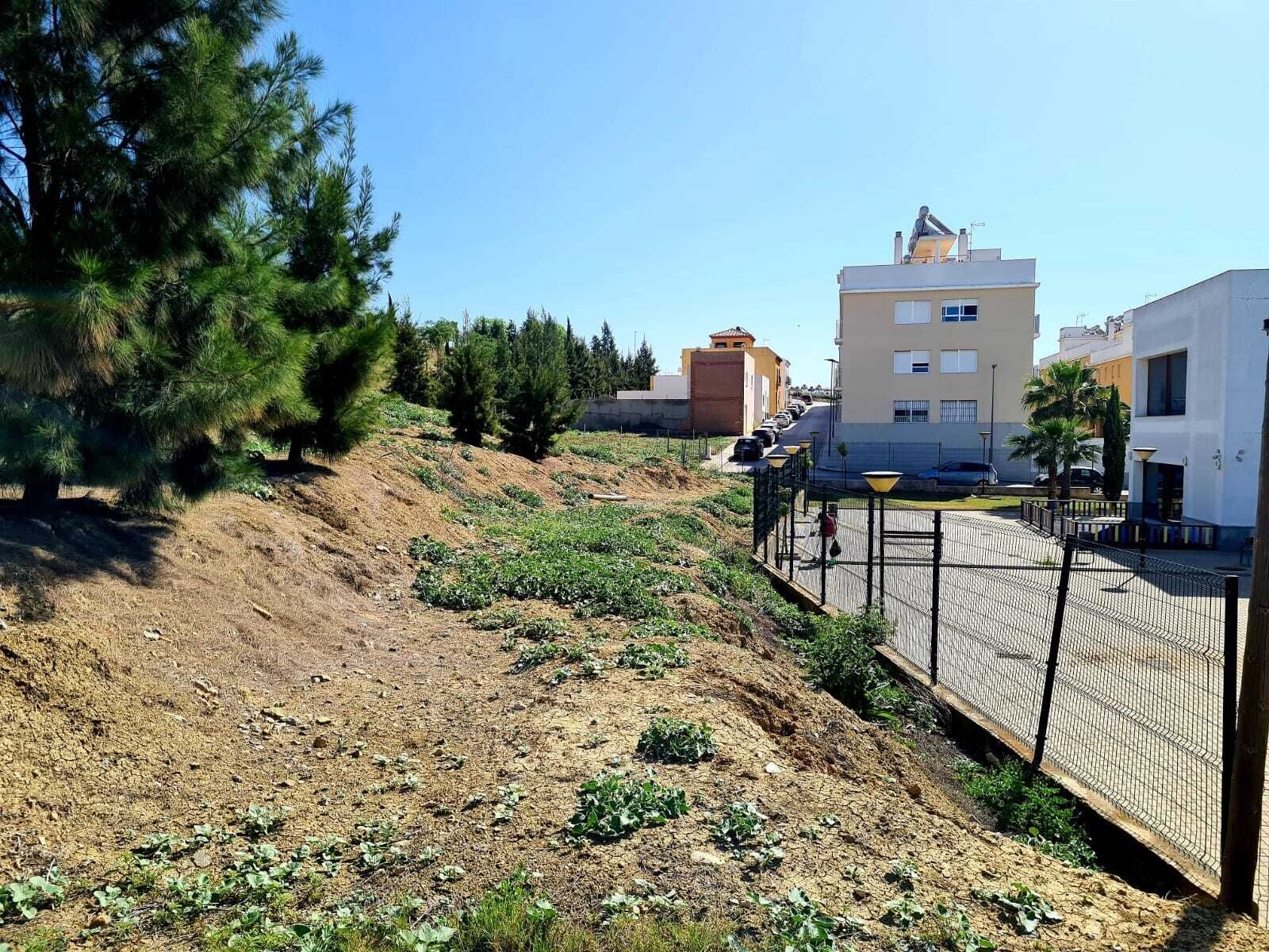 Actuación en avenida Reyes de España (2)