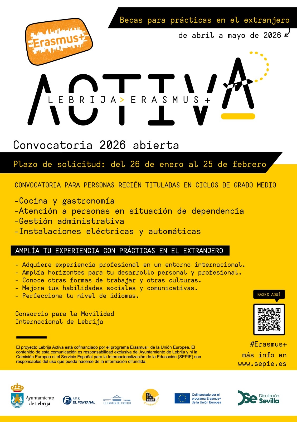 CARTEL ERASMUS C2024 FLUJO2.jpg