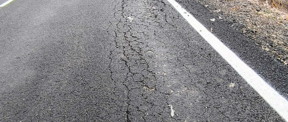 Camino Las Marismas - 15 nov 24 (3)