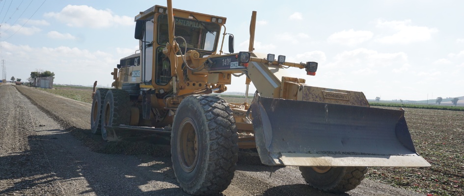 Camino Las Marismas (3)