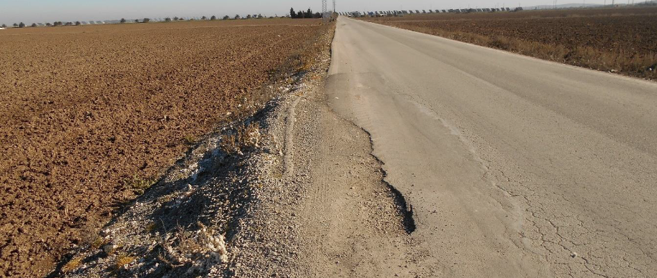 Camino Las Marismas - archivo municipal