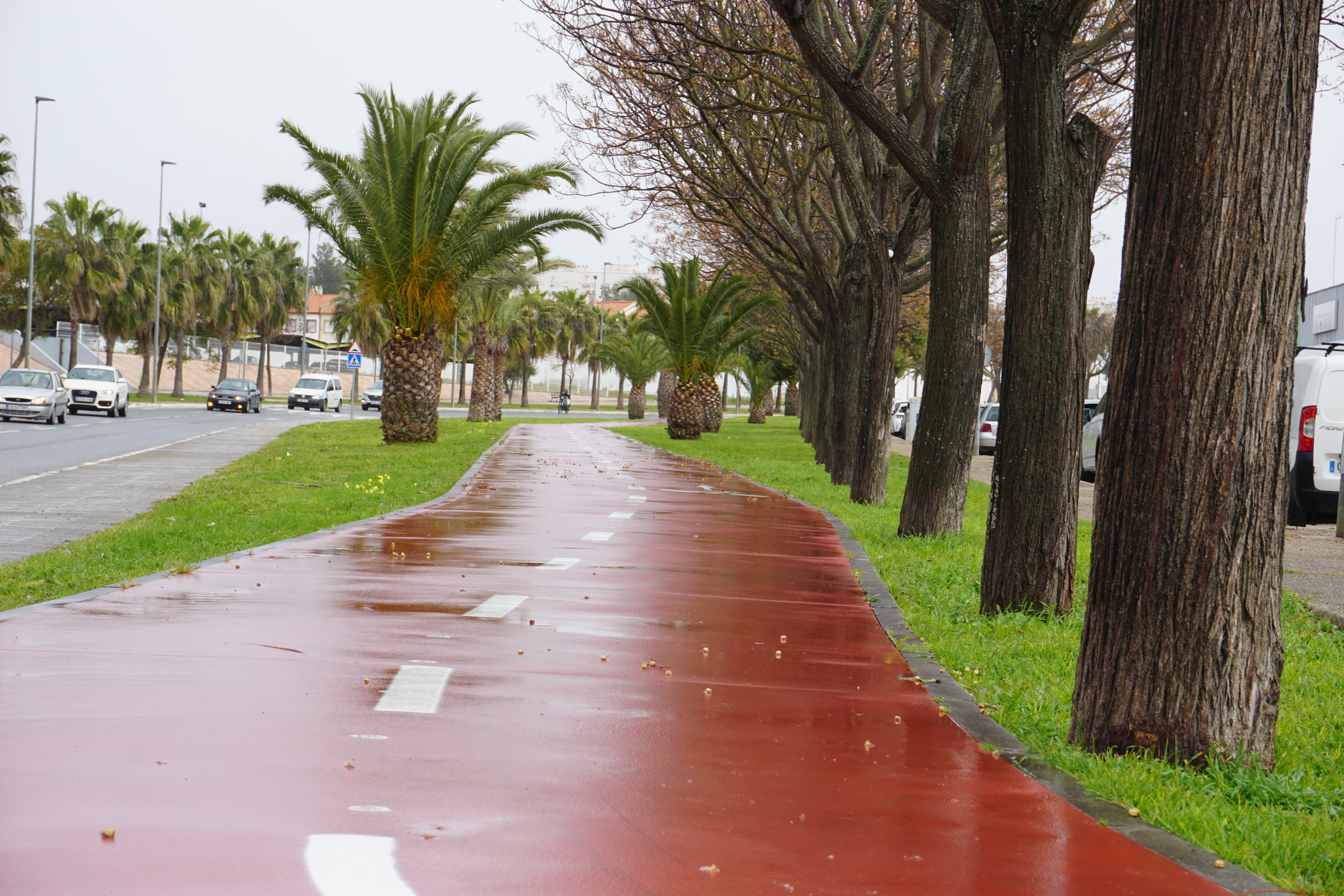 Carril bici Lebrija - 2024 (4)