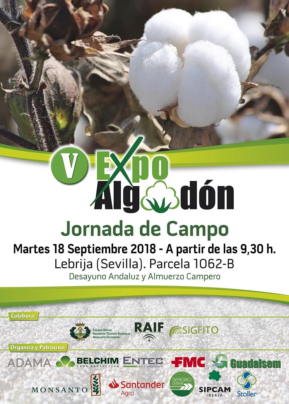 Cartel V ExpoAlgodon (1)