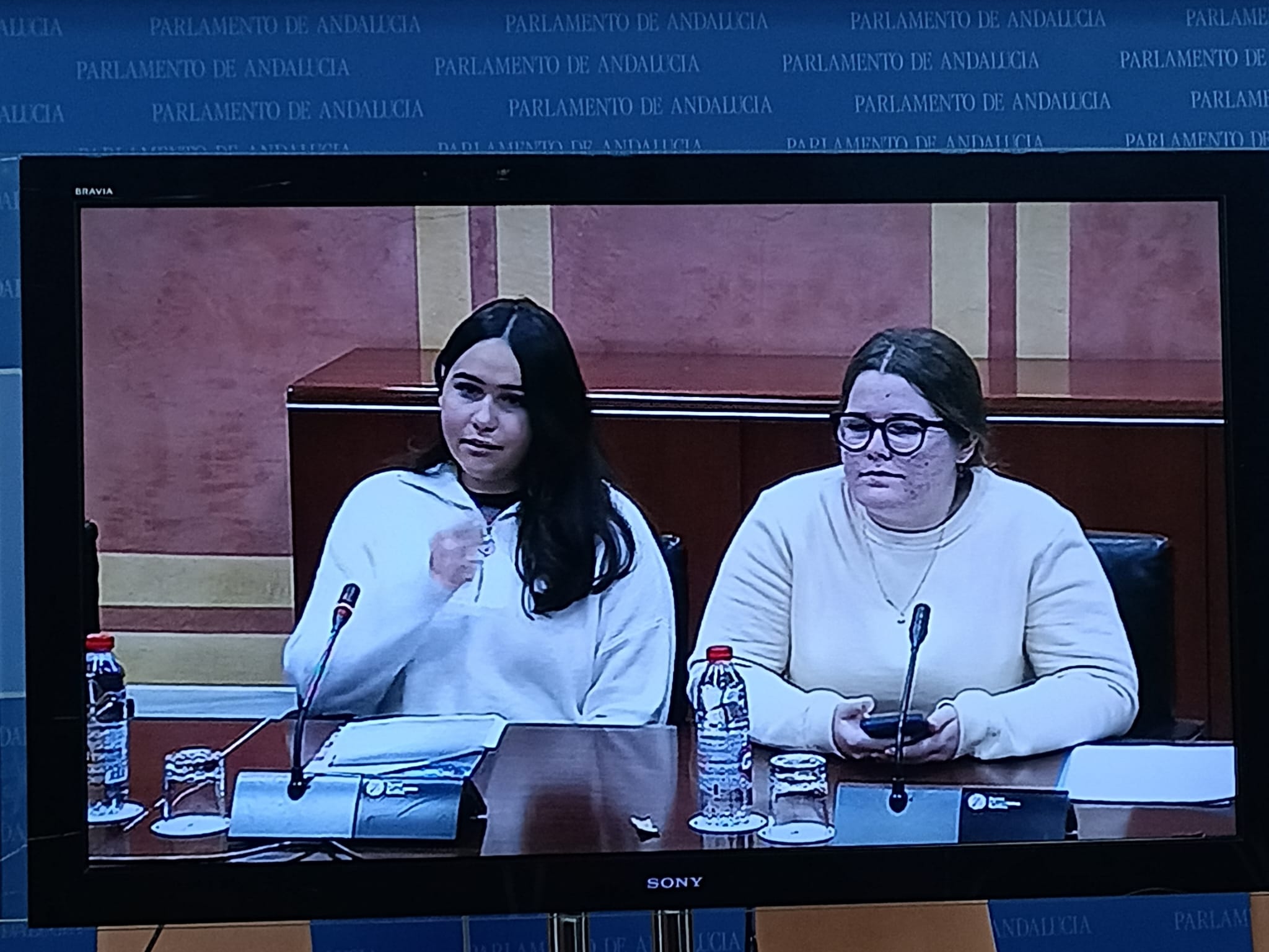 Clia Lebrija - Parlamento Andalucía dic 24  (2)