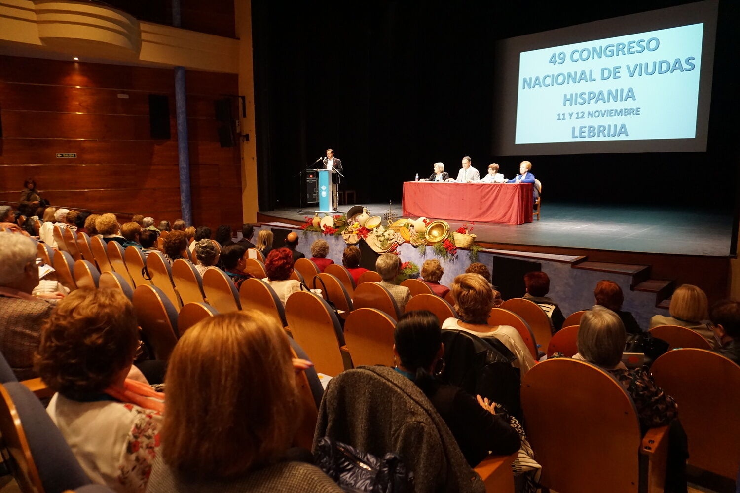 Congreso Nacional de Viudas Lebrija (8)