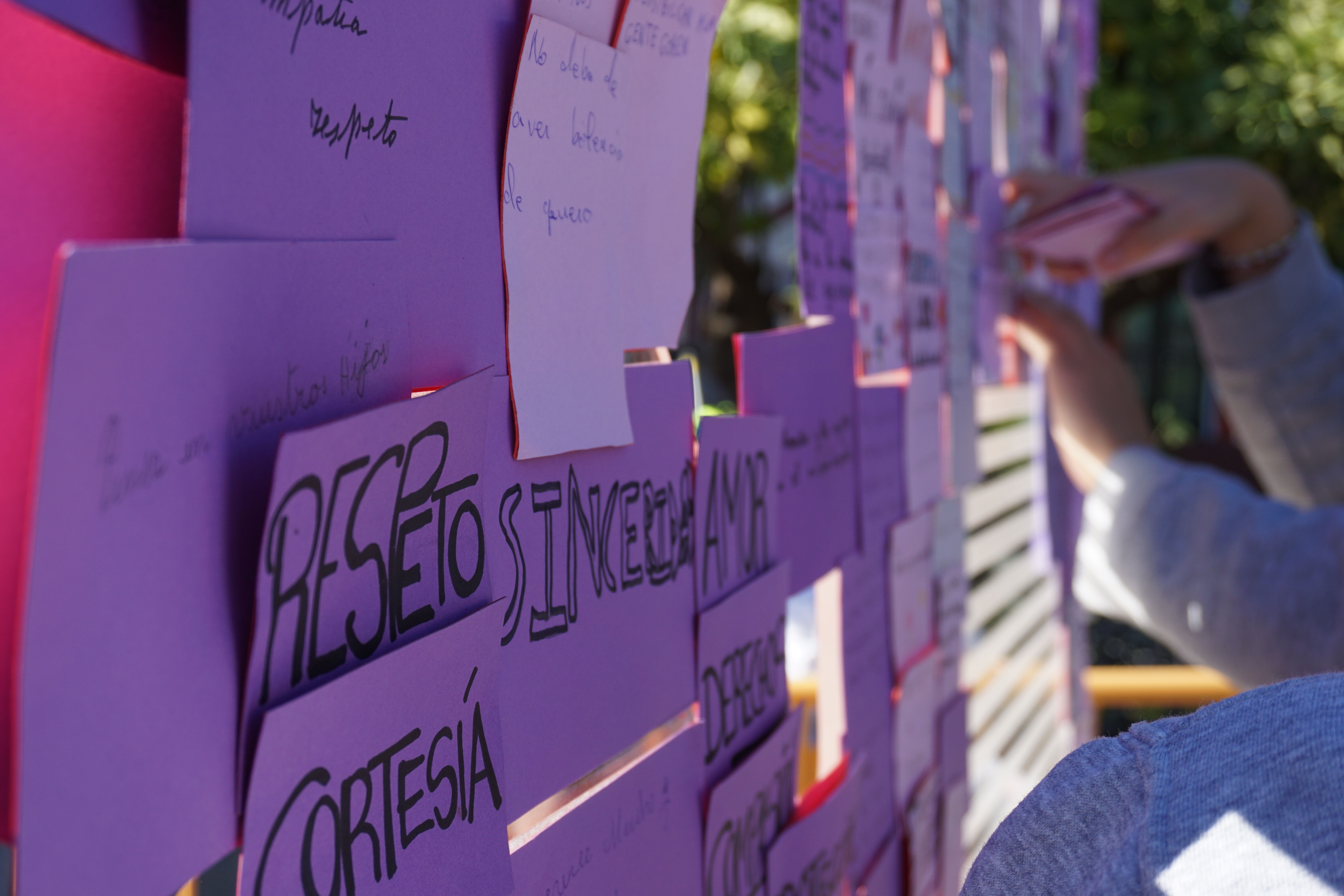 Conmemoración 25 N - Coeducación (1)