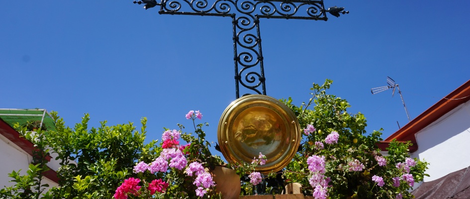 Cruces de Mayo 2024 - archivo (1)