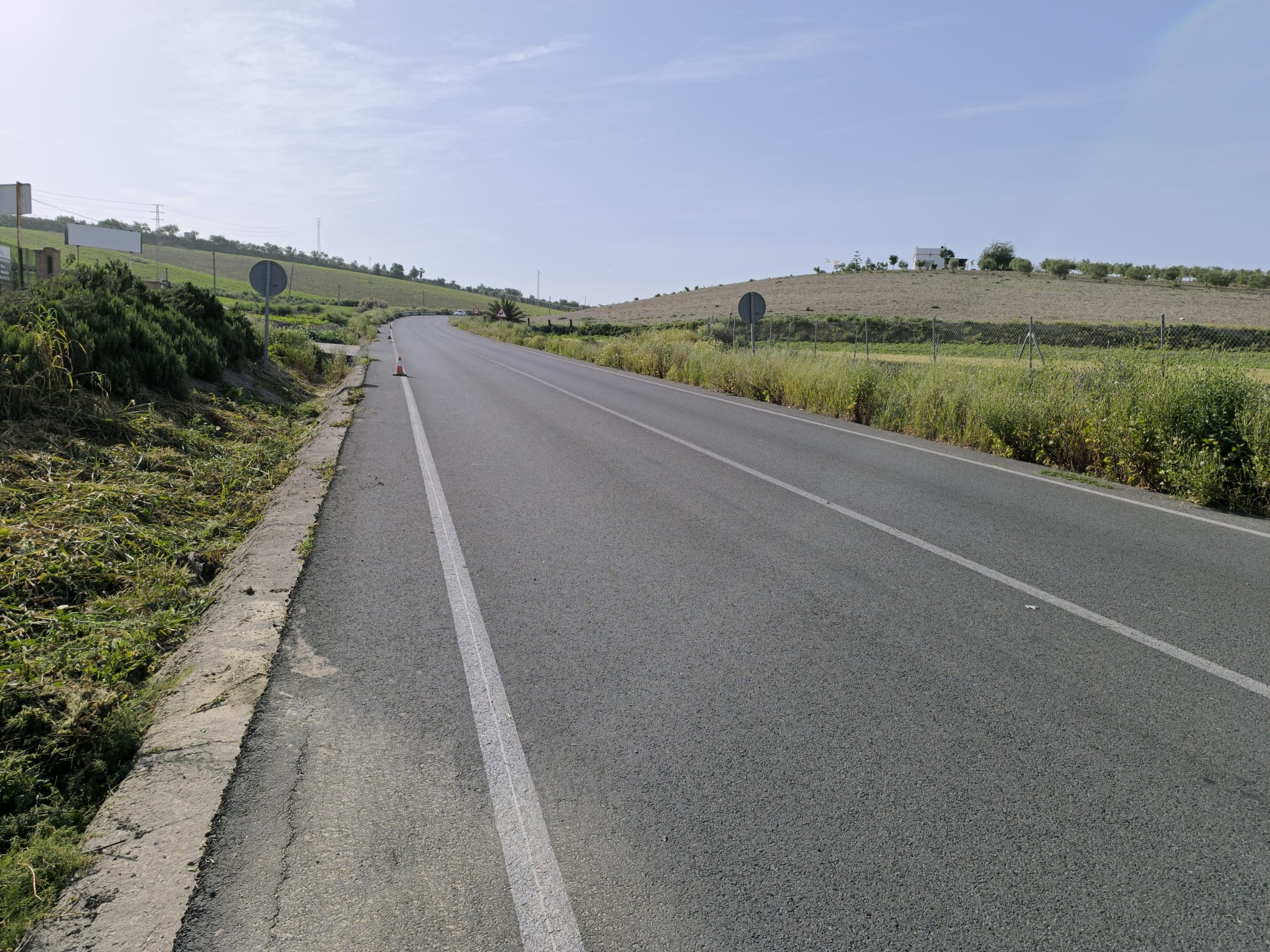 Desbrozado carretera Chare (1)