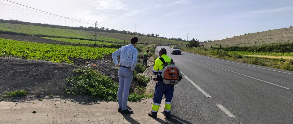 Desbrozado carretera Chare (3)