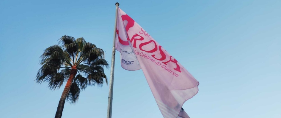 Día Mundial del Cáncer de mama 19 de octubre de 2021 (2)