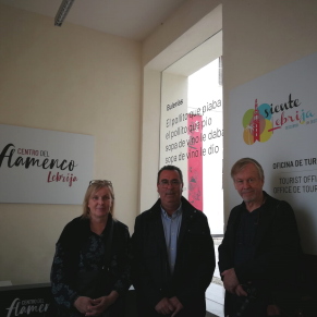 Día Mundial del Flamenco (1)