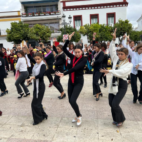 Día Mundial del Flamenco (12)