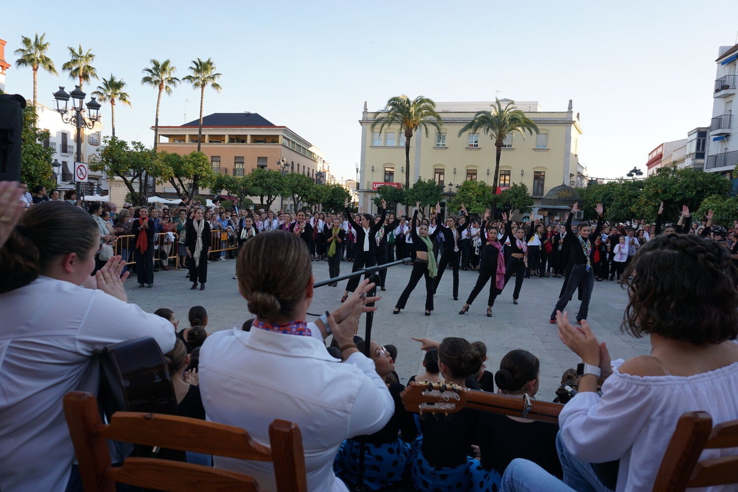Día Mundial del Flamenco 16 noviembre 2023 (1)