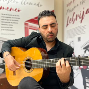 Día Mundial del Flamenco (6)