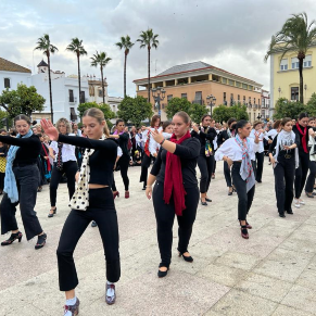 Día Mundial del Flamenco (9)