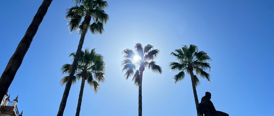 Elio Antonio Nebrija - 256