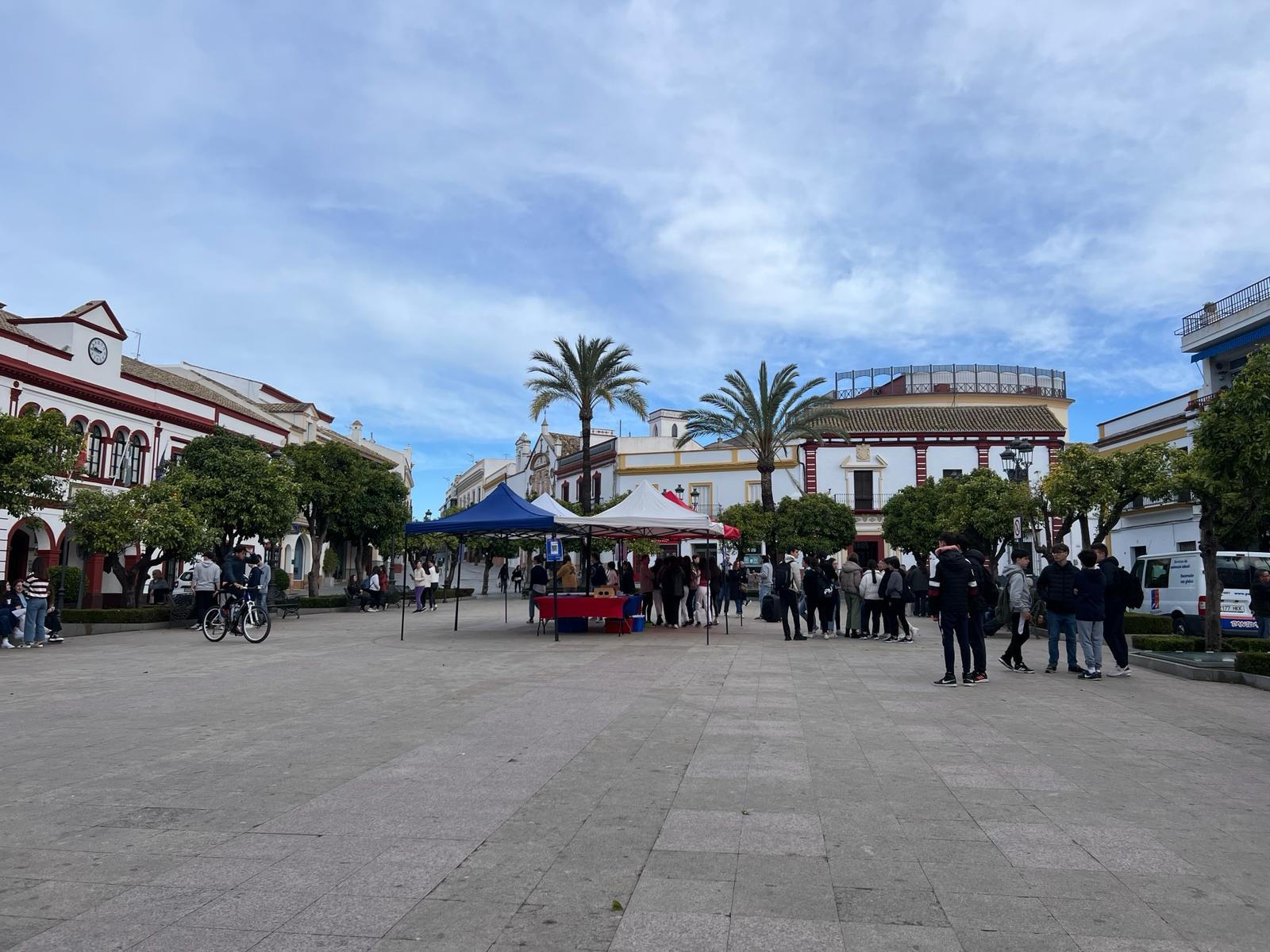 Estoy living - gymkhana (3)