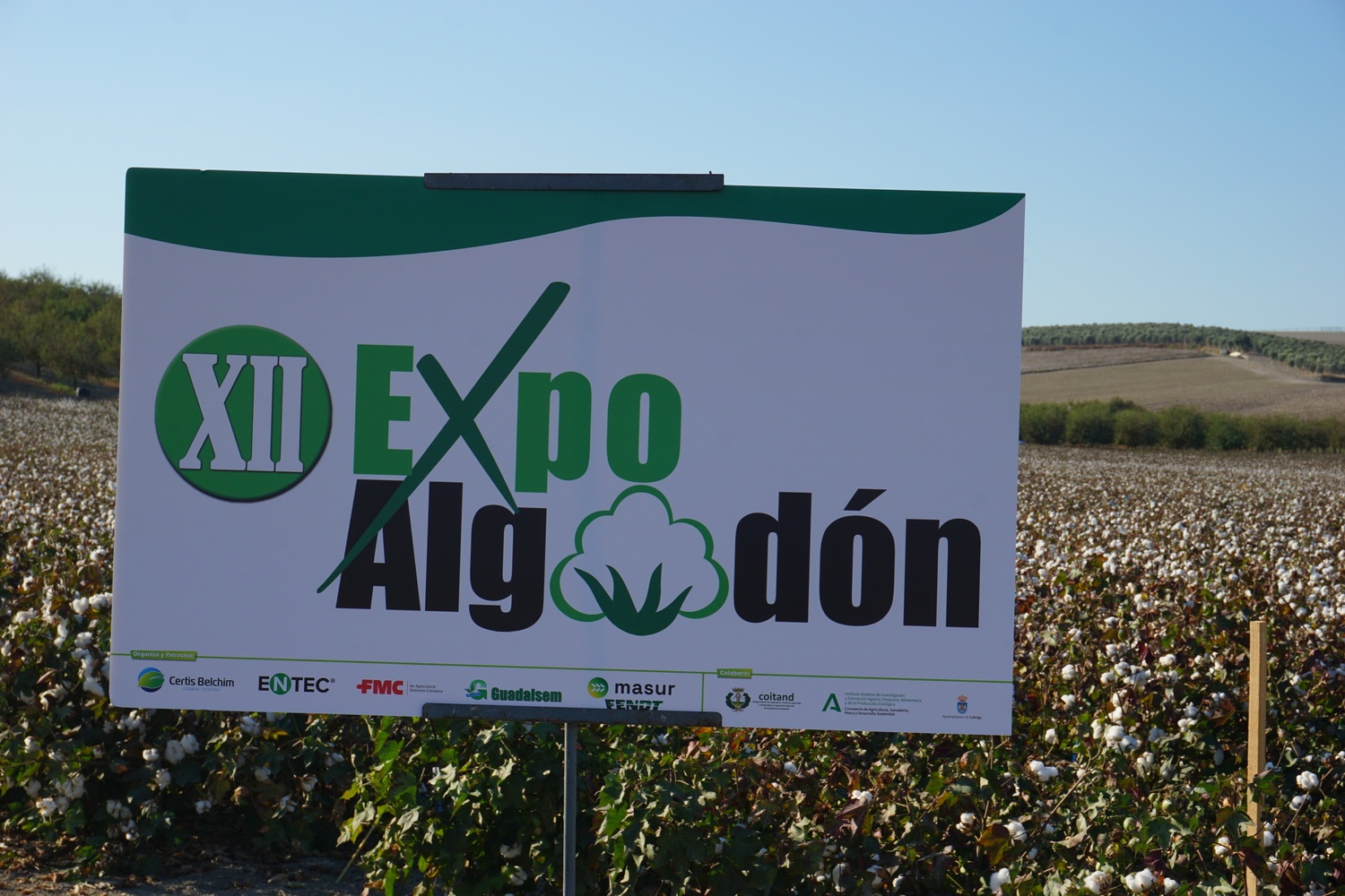 Expoalgodón 2025 (6)