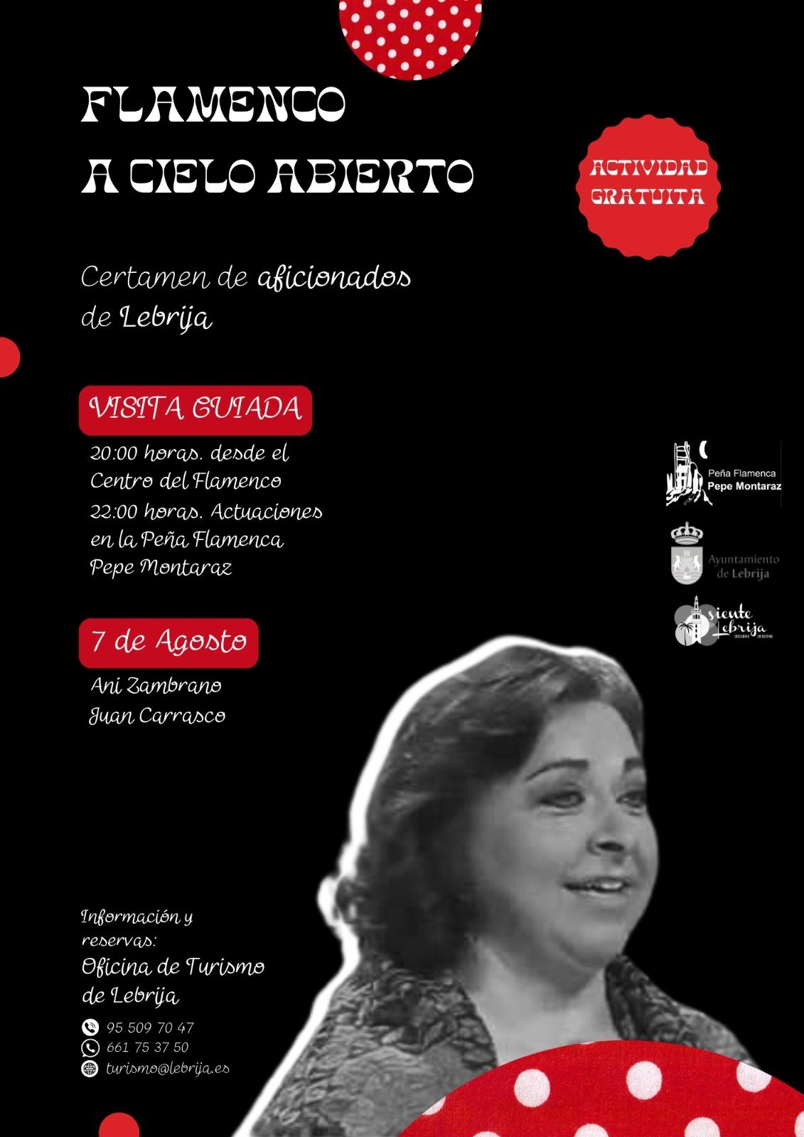 Flamenco A cielo abierto