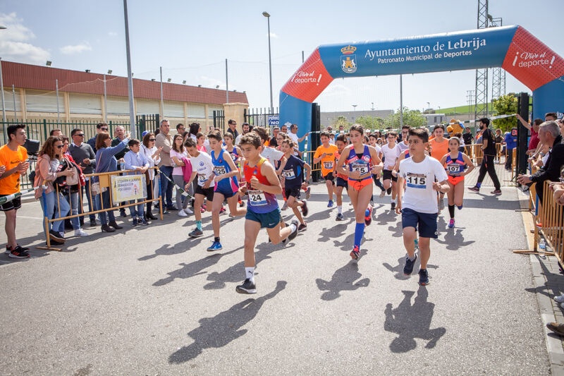 II Leguas Romanas (6)