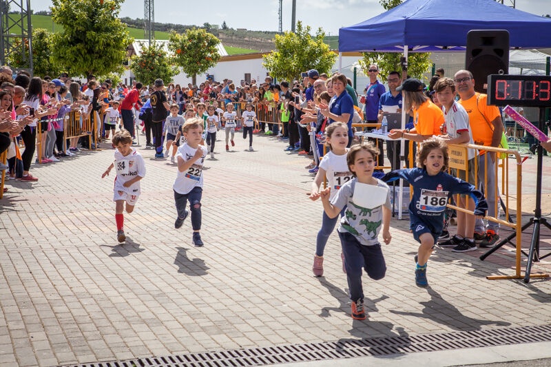 II Leguas Romanas (8)