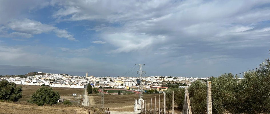 Imagen de archivo Camino de Parpalana - nov 25