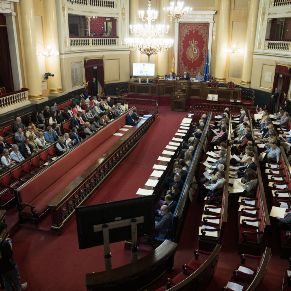 Jornada Elio Antonio Nebrija Senado  (8)