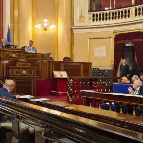 Jornada Elio Antonio de Nebrija - Senado (2)