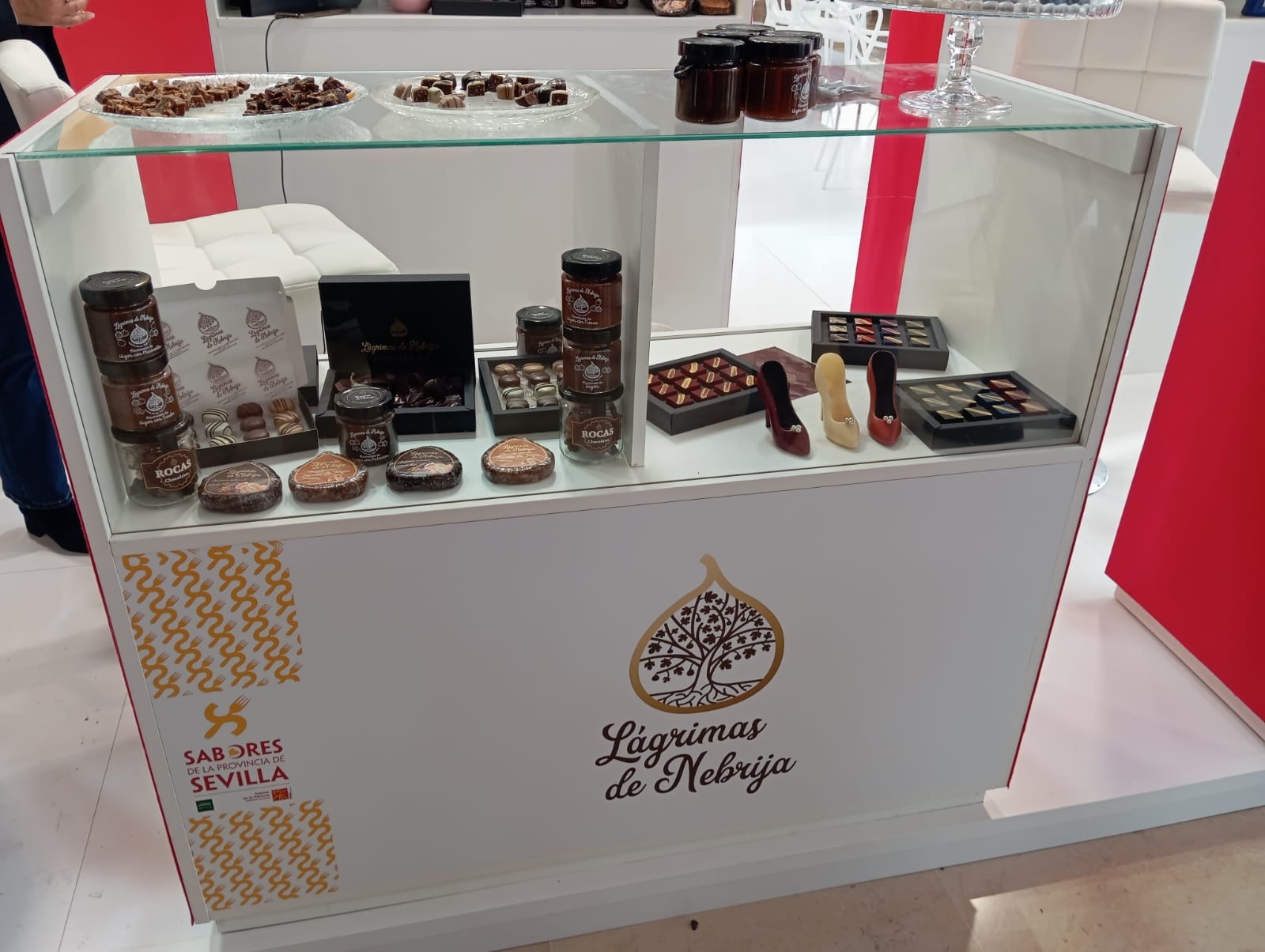 Lágrimas de Nebrija - Málaga (4)