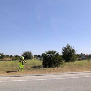 Limpieza carretera A8152 (1)