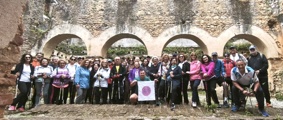 Marcha Nordica portada