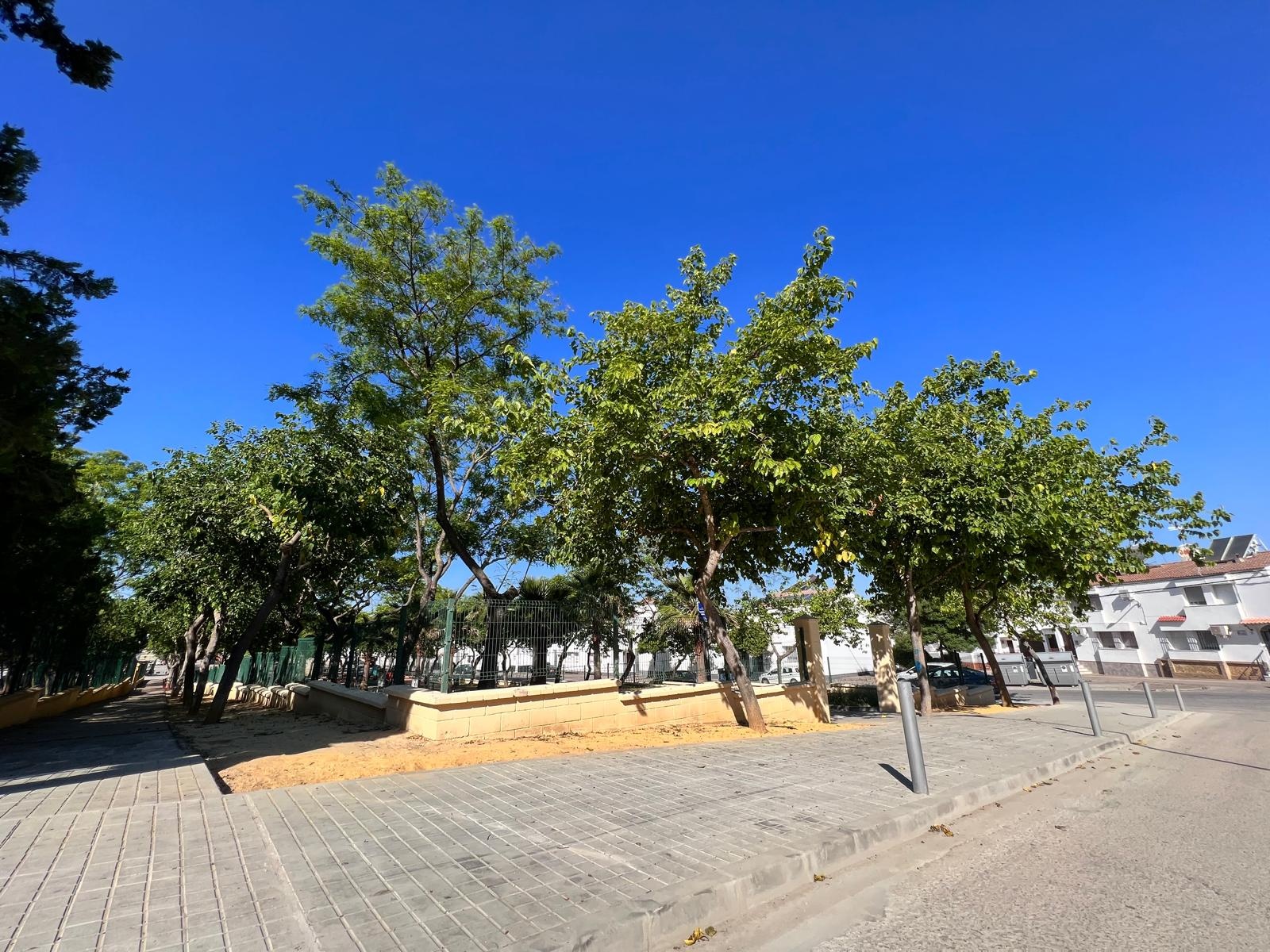 Mejora accesibilidad CEIP Josefa Gavala (5)