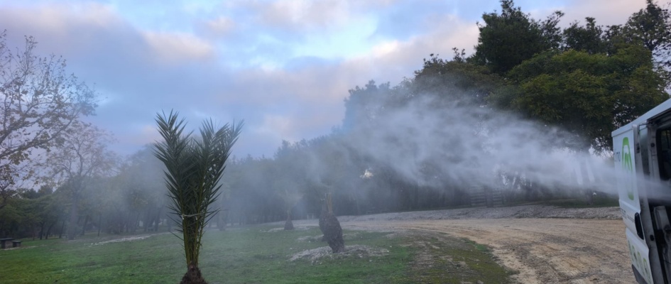 Mosquito Nilo - Lebrija 2026 (1)