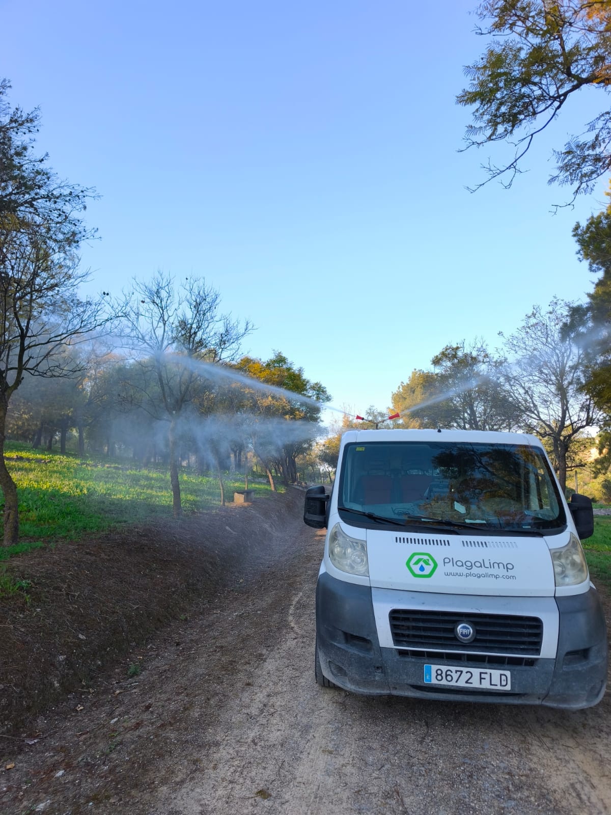 Mosquito Nilo - Lebrija 2026 (2)