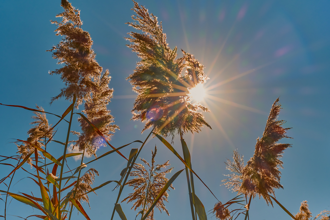 Recomendaciones ante las altas temperaturas previstas para los próximos días