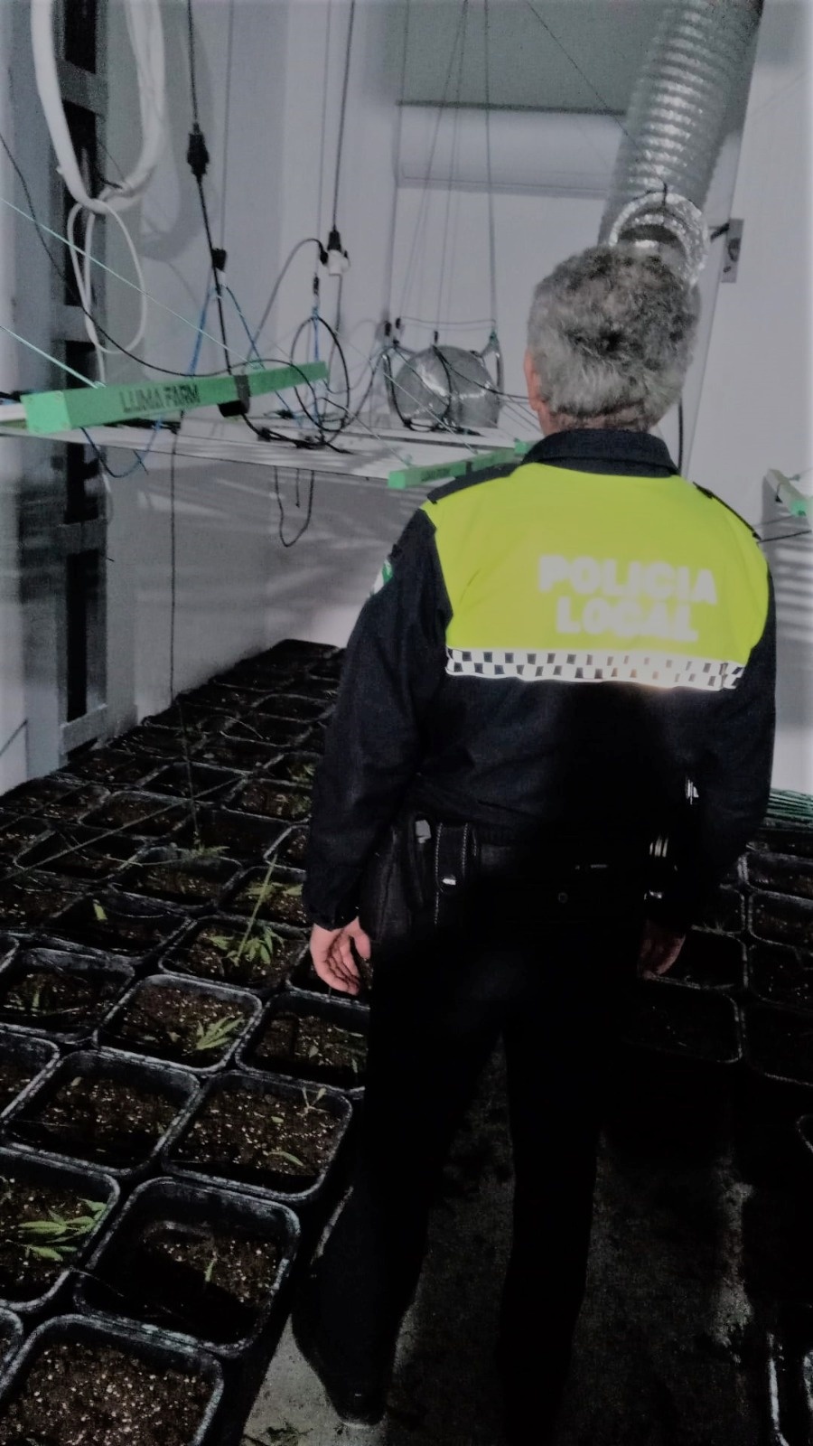 Plantación indoor marihuana - febrero 2024 (4)