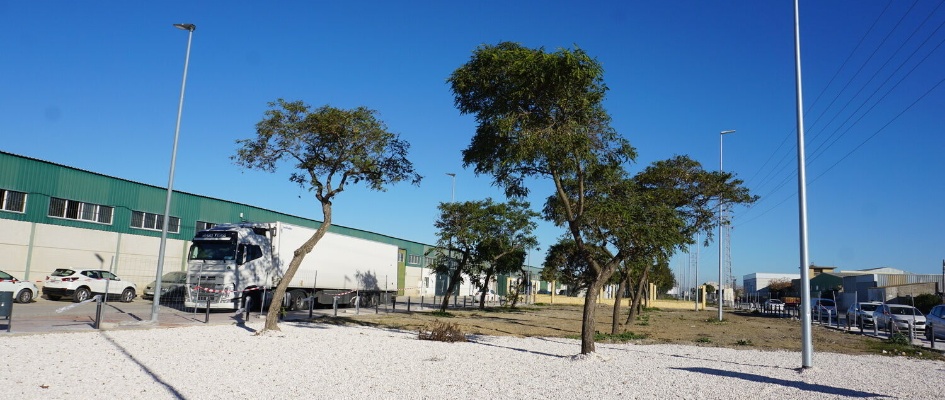 Polígono Las Marismas (1)