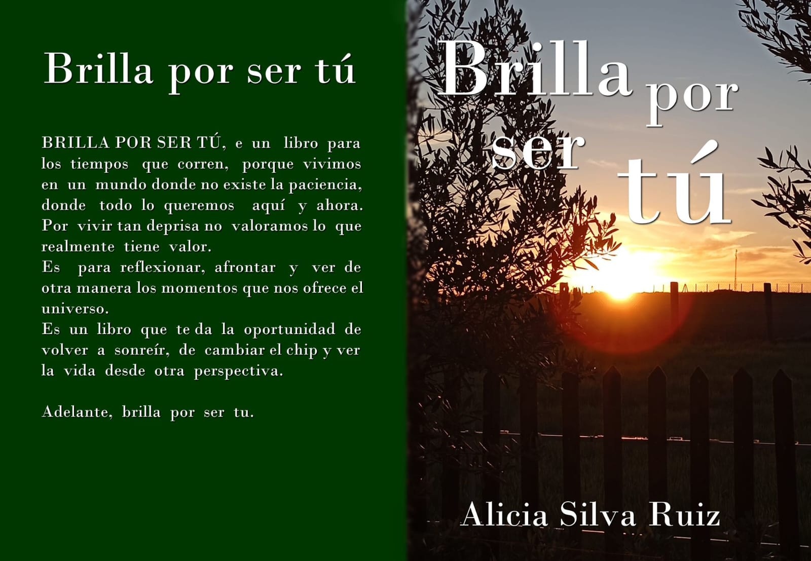 Promoción libro Alicia Silva - 10 feb 26
