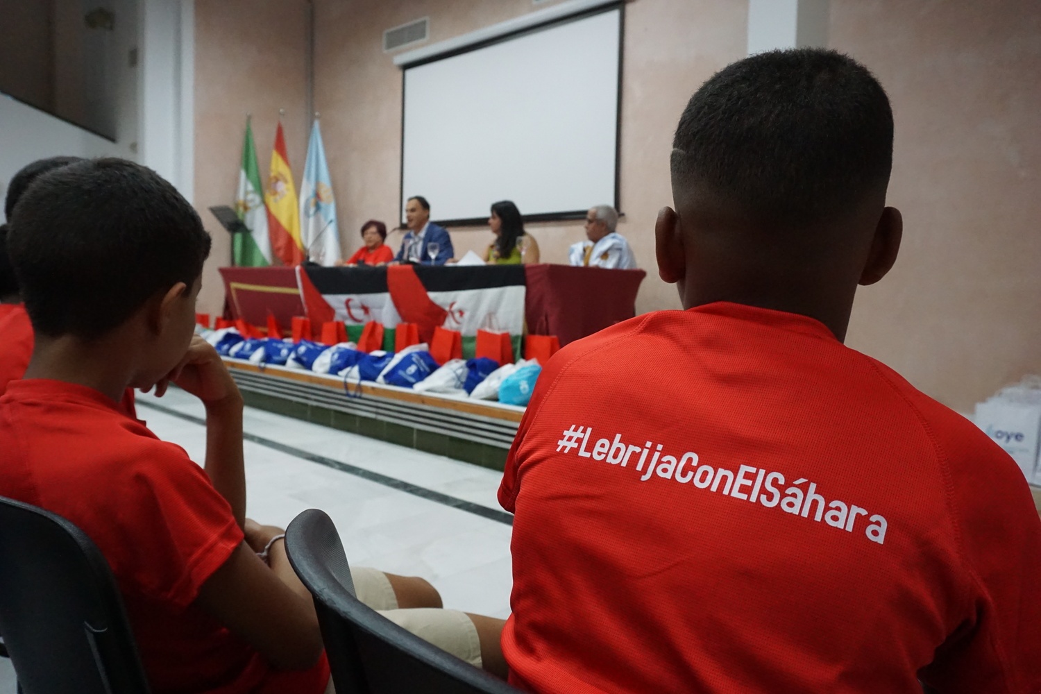 Recepción niños y niñas saharauis Vacaciones en Paz 2025 (4)