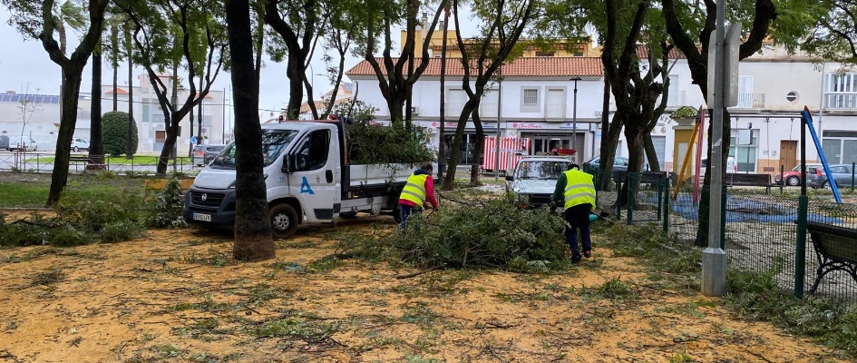 Retierada ramas temporal enero 26 (2)