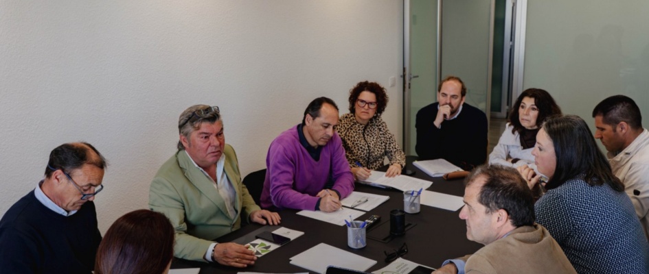 Reunión vivienda pública  - Diputación de Sevilla (2)