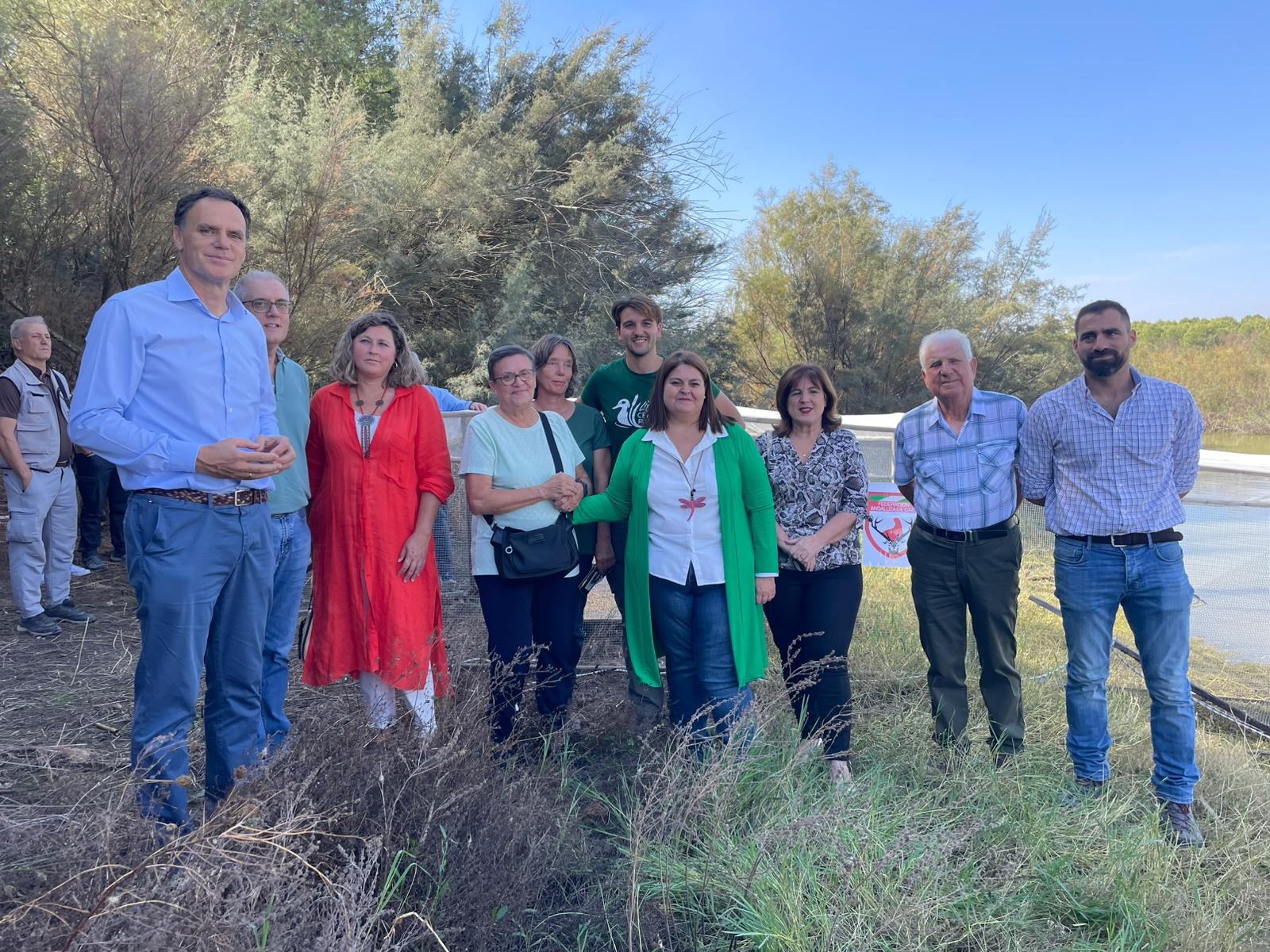 Suelta cerceta pardilla Balsa Melendo - LEBRIJA (6)