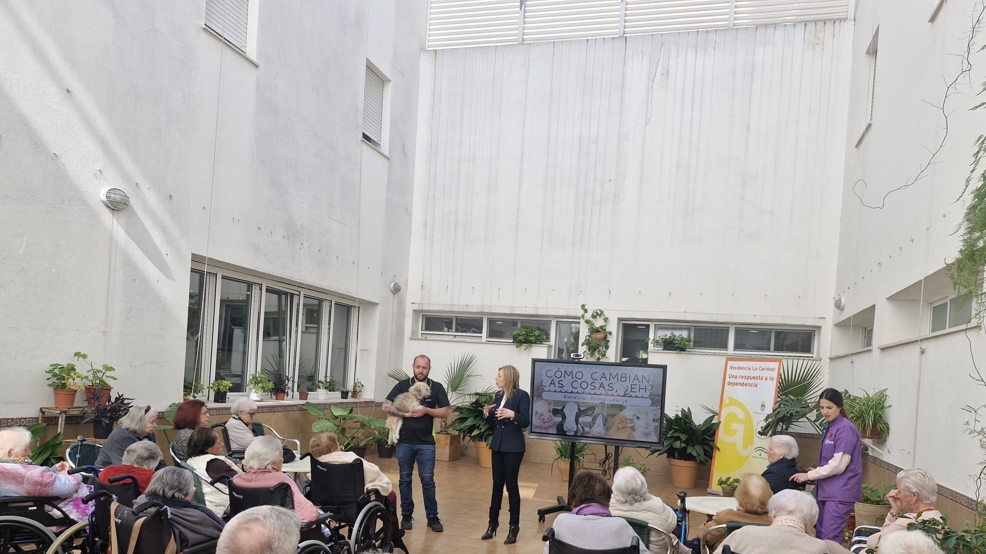 Las personas usuarias de la Residencia de la Caridad participan en una charla sobre bienestar animal