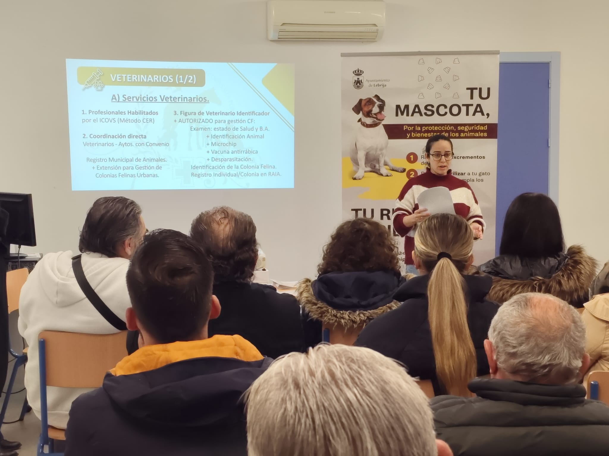 Taller alimentadores  (1)
