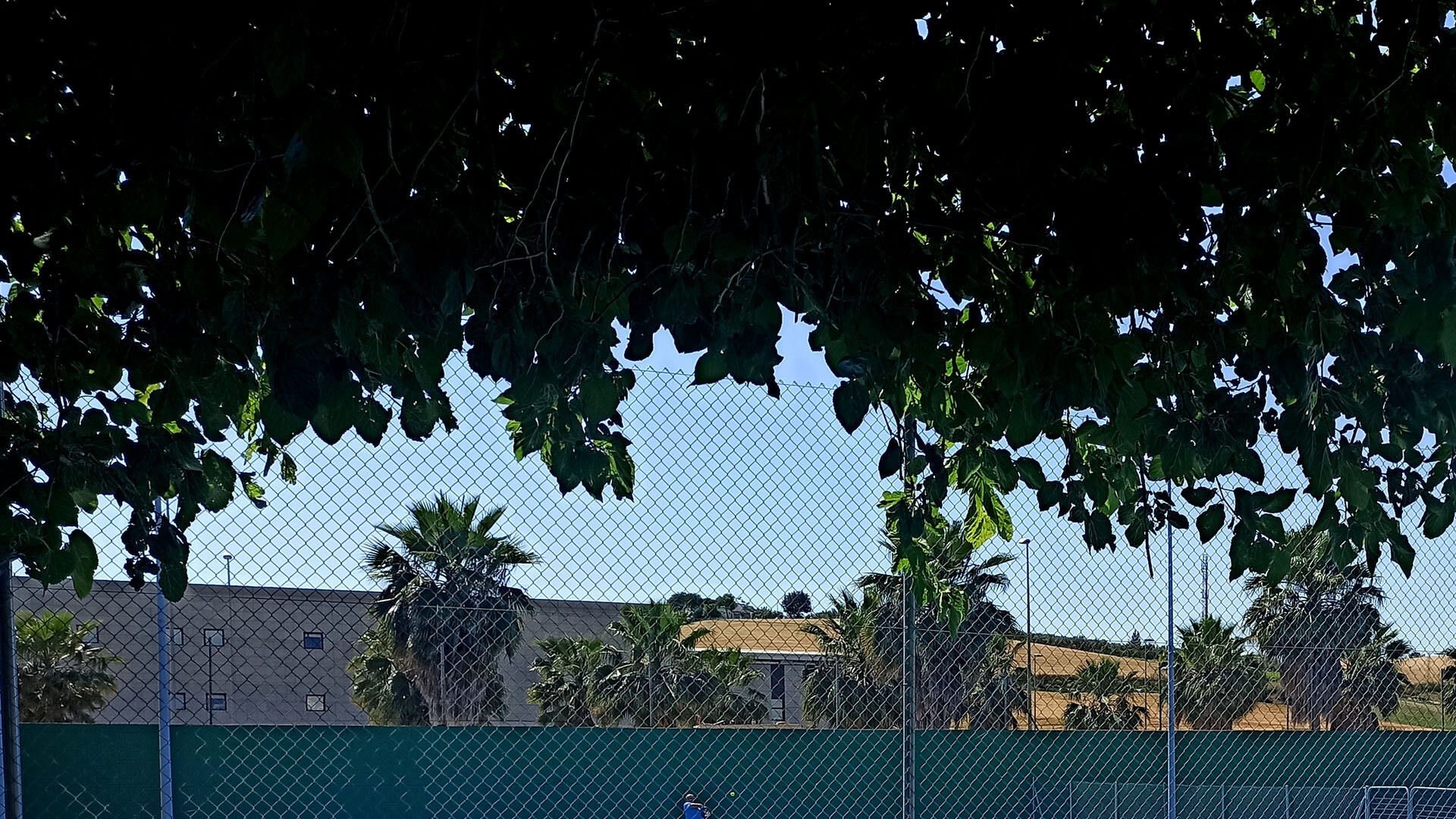 Abierto hasta el 31 de agosto el plazo de inscripción para la XV Liga de Tenis Local “Centro Dental Vidal y Rodríguez”
